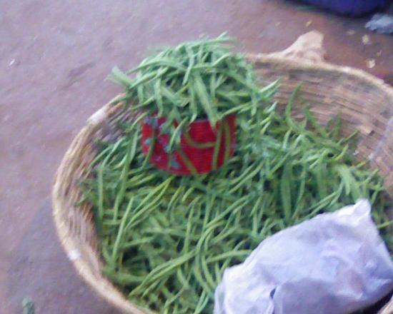 Bobo Dioulasso: Haricot vert Bioà 150fcfa (0.23Euro) la boîte; qui dit