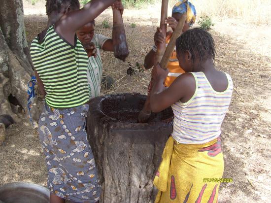 Extraction du beurre de karité; la phase de pillage.