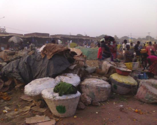 Bobo Dioulasso: Le marché de fruits