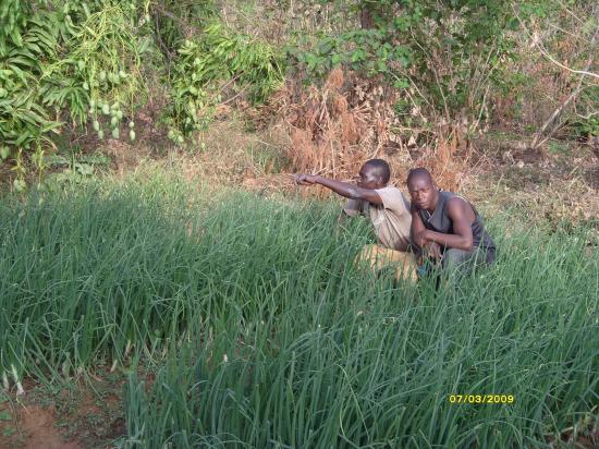 A Kampti dans le jardin de Ben (la main lévée)
