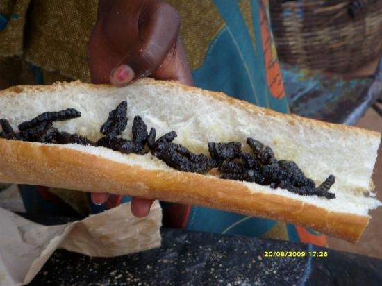 Sandwich aux chenilles!